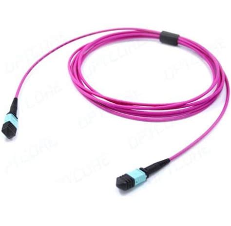 Om4 Mpo Fiber Optic Trunk Cable 12 Fiber Female Polarity A Lszh