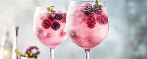 Wildberry Lillet Einfaches Rezept Koch Mit