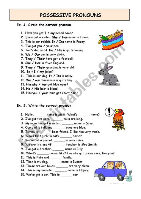 Possessive Pronouns Esl Worksheet By Mrgumby