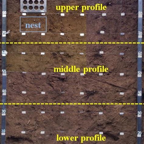 Sampling Grid With Nest For Smaller Gridded Sampling And Scheme Of Soil