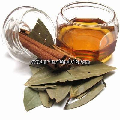 Cinnamon Leaf Essential Oil Buy 100 Pure Natural Essential Oils