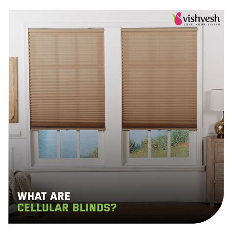 Cellular Blinds What Are They at Willard Corey blog