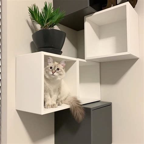 9 Stylish IKEA Hacks Your Cat Will Love Ikea Hacks For Cats Cat Wall