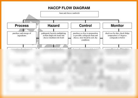 Solution Haccp Flow Diagram Studypool