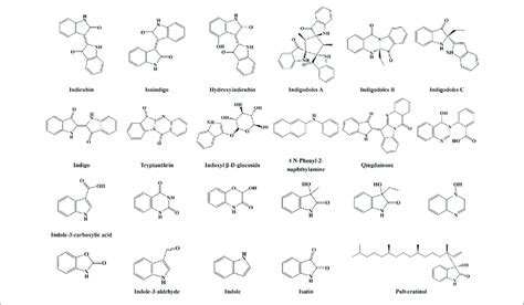 Structures Of Indole Alkaloids From In Download Scientific Diagram