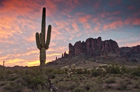 Lost Dutchman State Park Superstition By David Kiene