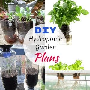 13 DIY Hydroponic Garden Plans For Indoor - DIYnCrafty