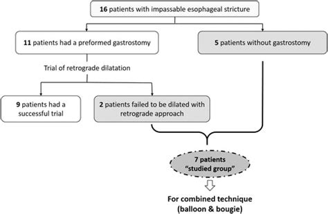 The Effectiveness Of Combined Balloon And Bougie Dilatation Technique