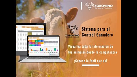 Software Para El Control Ganadero Youtube