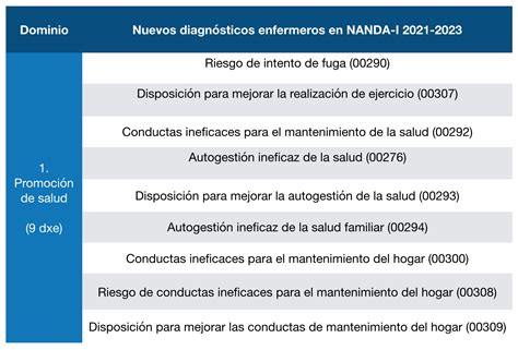 El Diagn Stico Enfermero Clasificaci N De Nanda I