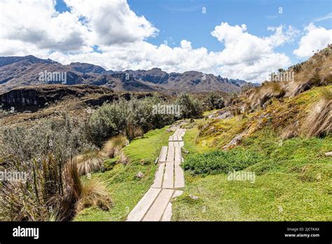 Hiking Footpath Through The Paramo In Cajas National Park Toreadora