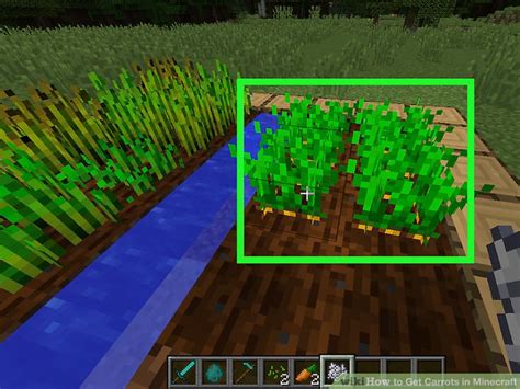 How To Get Carrots In Minecraft Steps With Pictures