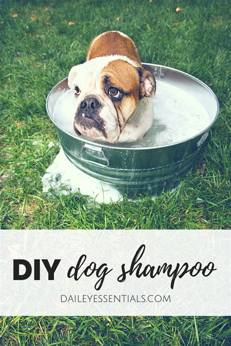 This Diy Dog Shampoo Combines Unscented Castile Soap With Dōterra