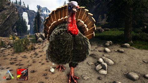 Titan Turkey Ark Survival Evolved Dinooverhaulx Dox 32 Youtube