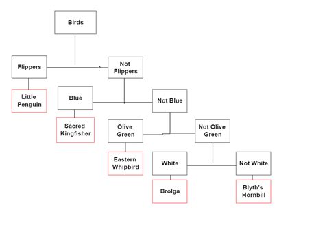 Jayden S Dichotomous Key EdrawMax Templates