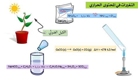 Enthalpy Change In Chemical Reactions