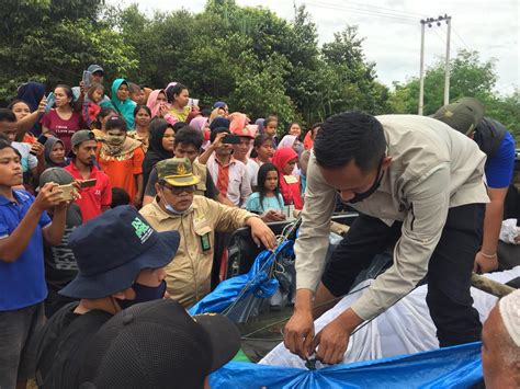 PPID Kementrian Lingkungan Hidup Dan Kehutanan Seekor Pesut Jantan