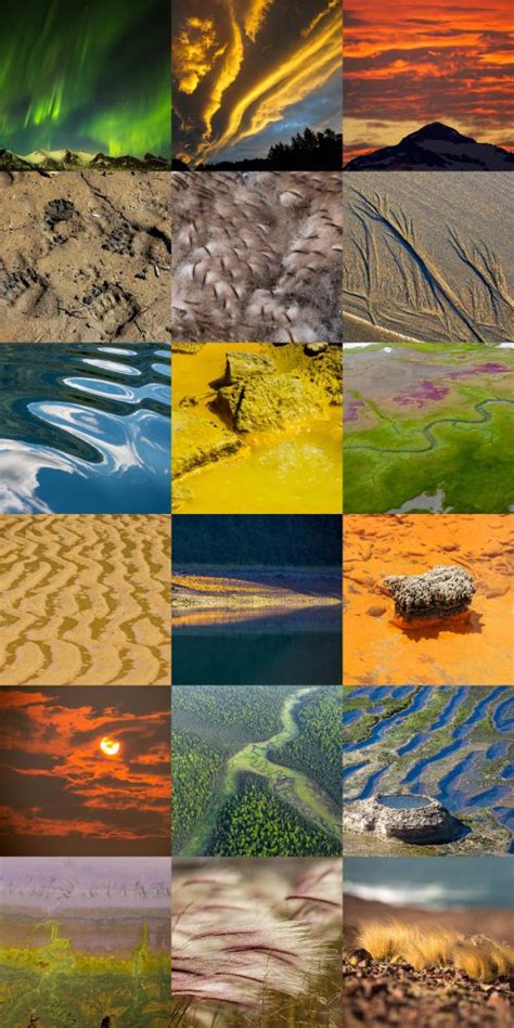 Faszination Natur - Mosaik