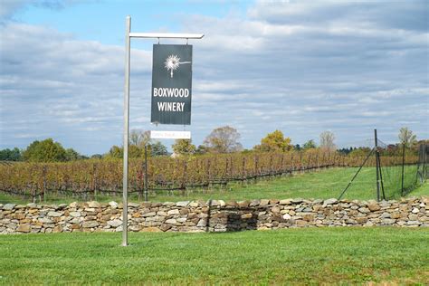 5 Incredible Middleburg, Virginia Wineries That Wine Lovers Need to Visit