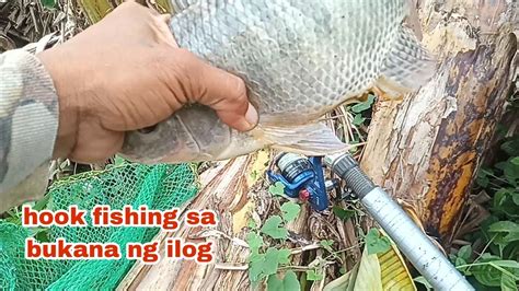 Pamimingwit Ng Isda Sa Bukana Ng Iloghook Fishingbuhay Probinsya