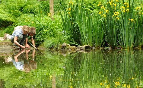 Nature Preschools And Forest Kindergartens — David Sobel