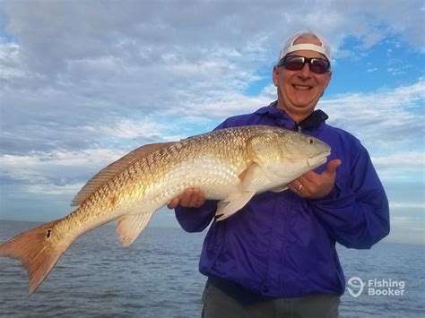 Great Day On The Water Review Of Louisiana Lagniappe Charters Venice