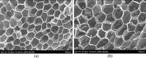 SEM micrographs of cork cells: a Natural cork cells; b regranulated ...