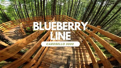 Blue Berry Line Bikepark Carosello Livigno Italy Full Run Pov