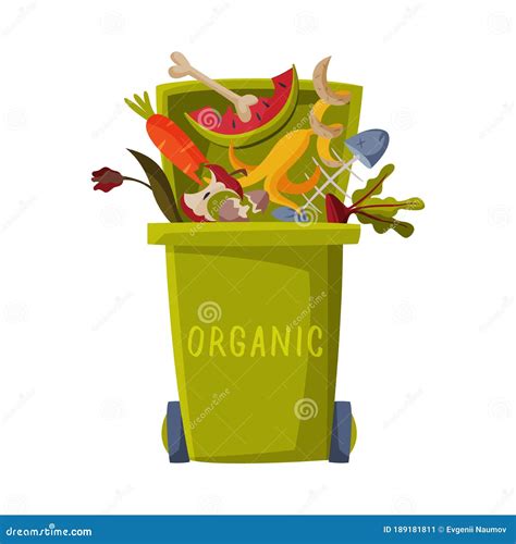 Waste Sorting Green Trash Can With Sorted Organic Garbage Segregation