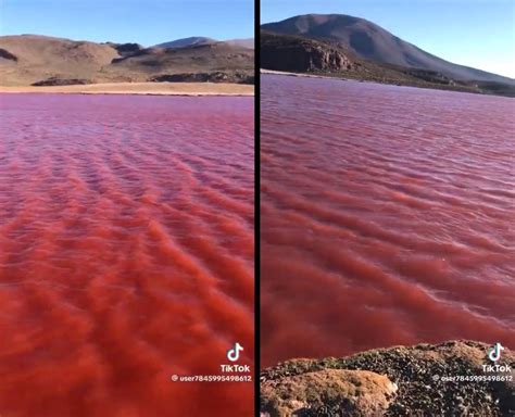 Il Fiume Nilo Si Tinge Di Rosso Ma Una Fake News