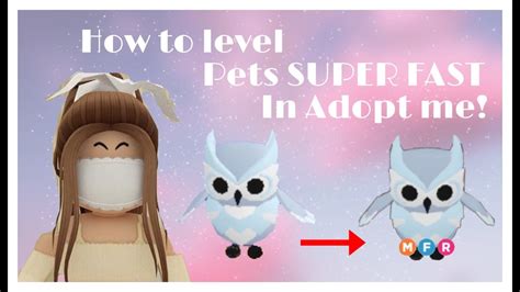 How To Level Up Your Pets Super Fast Youtube