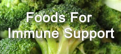 12 Healthy Foods To Support Your Immune System