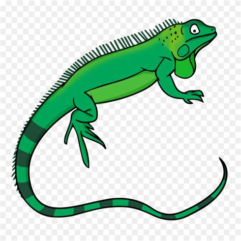 Lizard Clipart Free Download Clip Art On Clipartbarn Lizard Clipart Flyclipart