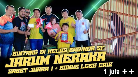 Aksi Menggila Jarum Neraka Jadi Bintang Di Kelas Inimutlak Juara St