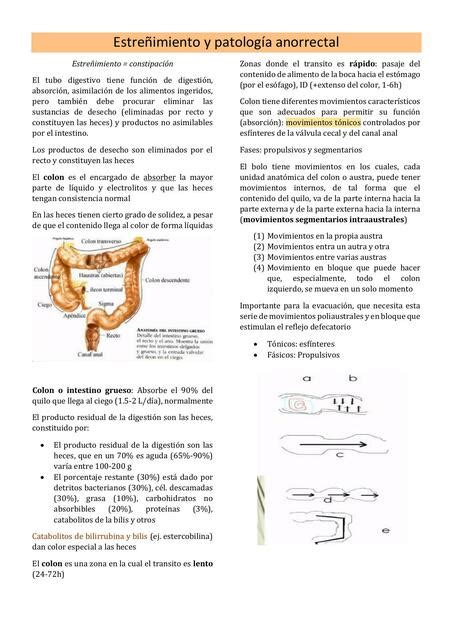 Estre Imiento Y Patolog A Anorrectal Ana Mar A Ulloa Cavero Udocz