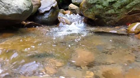 Trickling River Water To Sooth And Relax You Sleep Beat Insomnia