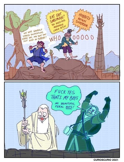 Pin By Marine Six On Tolkien In 2024 Lotr The Hobbit Lotr Funny