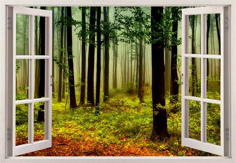 3D Window View Forest Landscape, Wall Mural, 3d Window Wall Decal, Fake ...