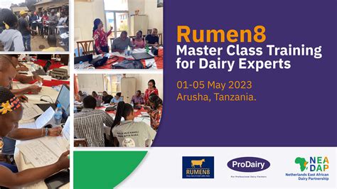 Using the casenet mo search tool helps find public history 9