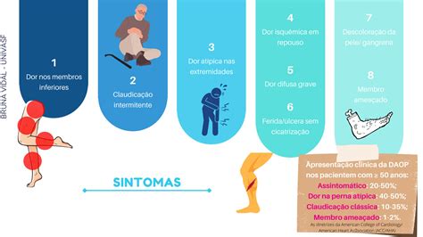 SOLUTION Doença arterial obstrutiva periférica SLIDE RESUMO Studypool