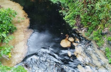 Fuga De Hidrocarburo Contamina Arroyos En Comunidades De Papantla