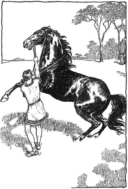 Bucephalus Encyclopedia Article Citizendium