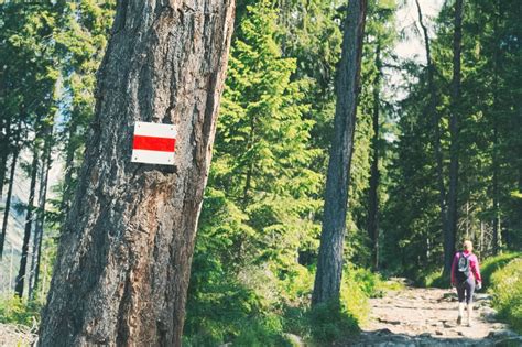 Jak Czyta Oznaczenia I Kolory Szlak W Turystycznych