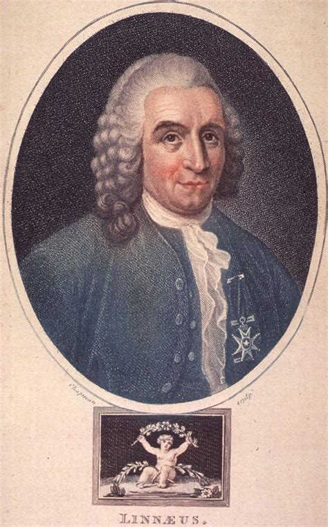 Carolus Linnaeus - An Evolution Biography