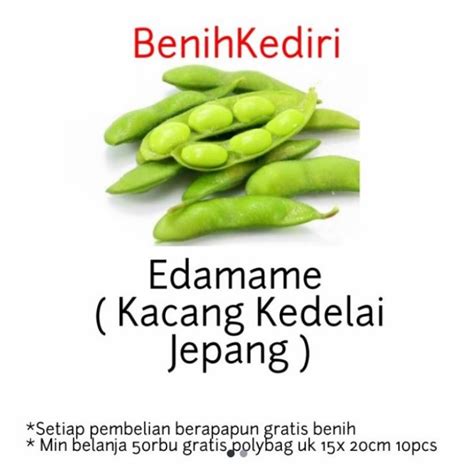 Jual 1 Benih Bibit Biji Buah Sayur Edamame Kacang Kedelai Kedele Jepang