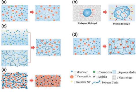 Schematic Representation Of Various Methods Of Nanocomposite Hydrogel