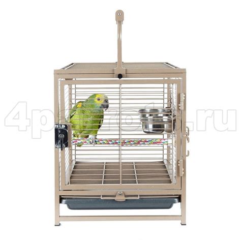 Переноска для попугая SKY Rainforest Travellor