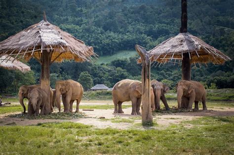 Qué ver en 2 días en Chiang Mai ruta para conocer las maravillas del