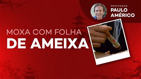 Moxa Folha De Ameixeira T Cnica Como Fazer Moxa Folha De