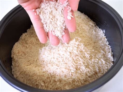 How To Use The Salton Rice Cooker Rice Array